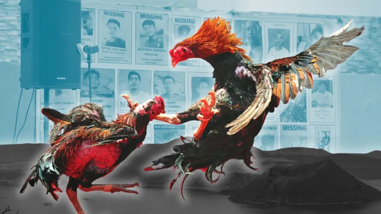 Sức Hút Khó Cưỡng Từ Đá Gà Sabong Tại SunWin Với Các Trận Đấu Kịch Tính